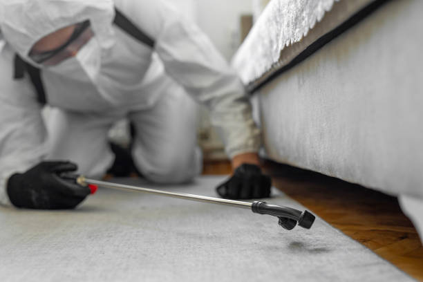 Professional Cockroach Control technician working in Orange County County, IN